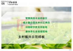 史教员案例《中软数字村落复兴康养融合成长财