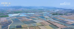广袤郊野加“数”前行勾勒村落复兴新画卷 但愿